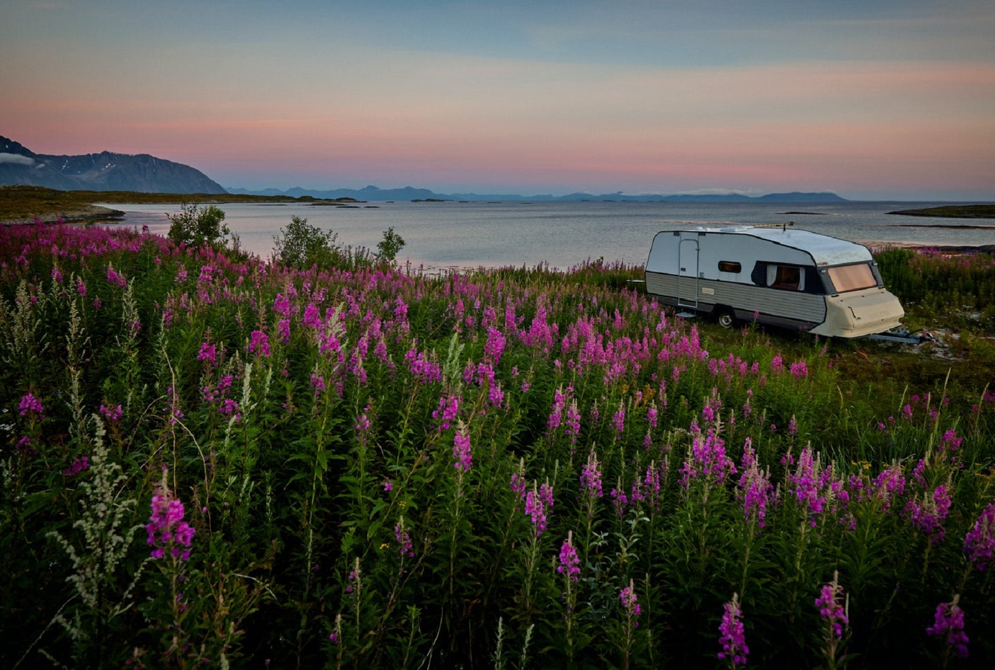RV van life on a beach with purple wildflowers