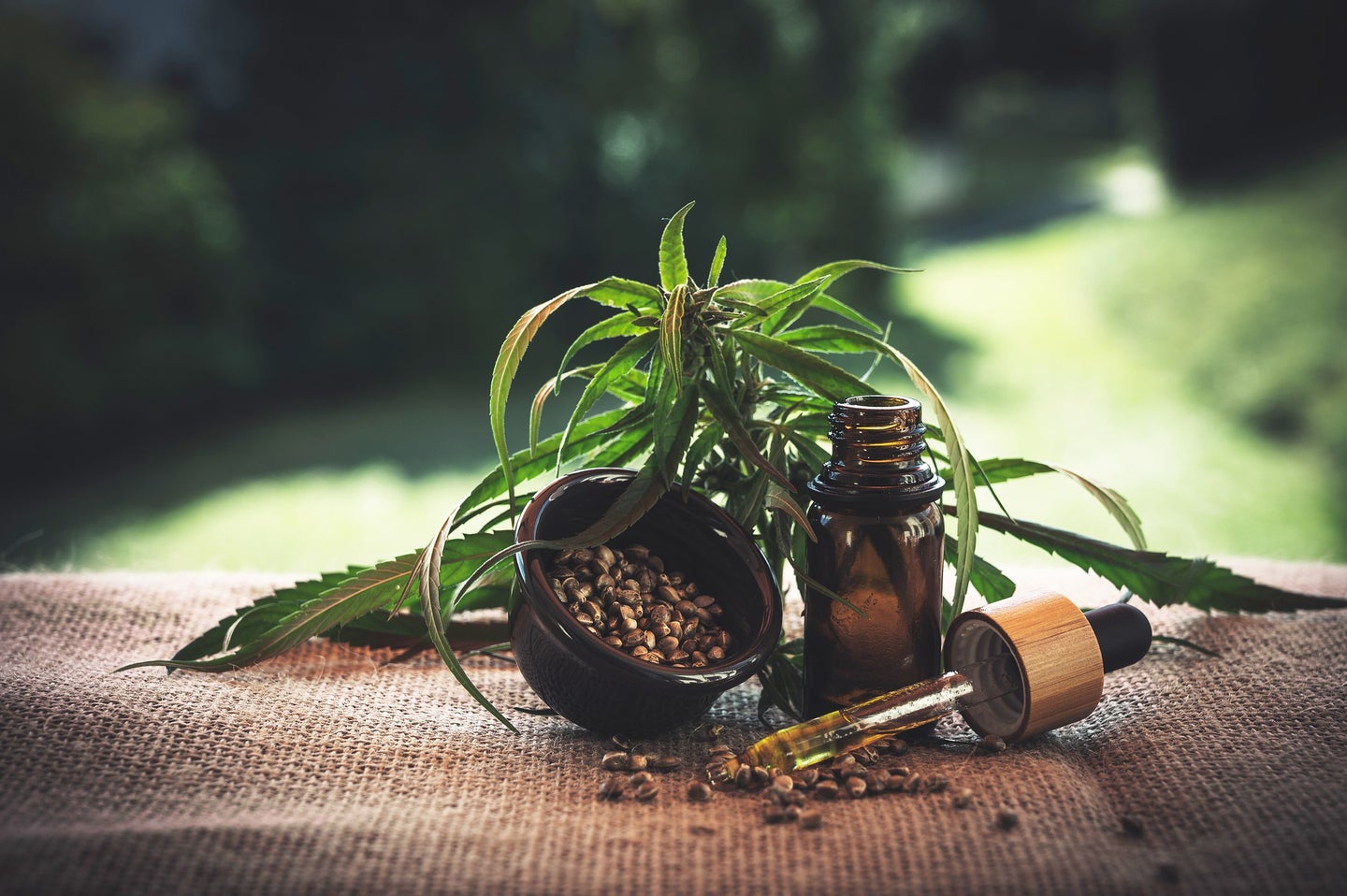 A cannabis plant, ground cannabis, and a vial of green liquid.