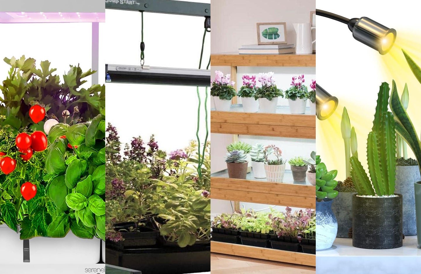 A lineup of the best grow lights on a plain background
