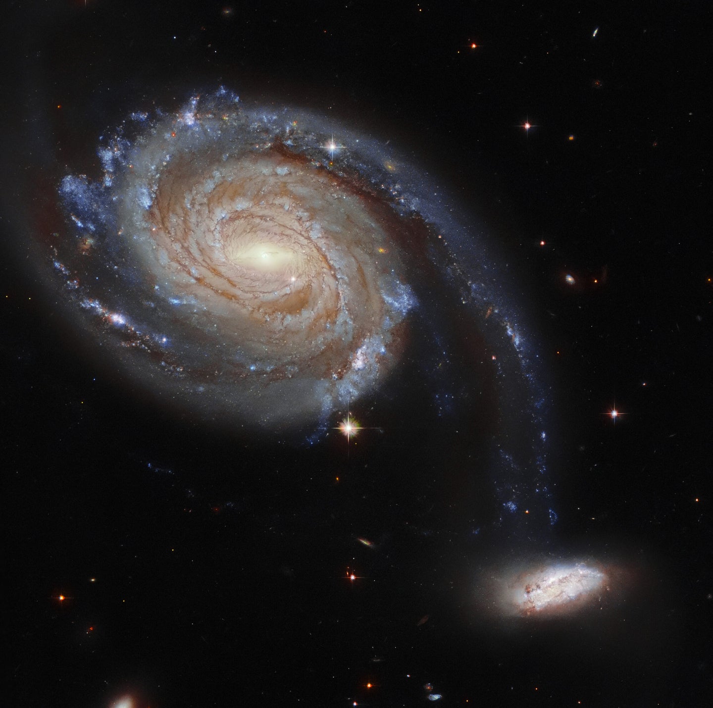 Hubble Space Telescope capture of distant galaxies Arp 86 and NGC 7753