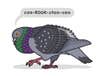Gray pigeon hunched over with comic text "coo-rook-ctoo-coo"