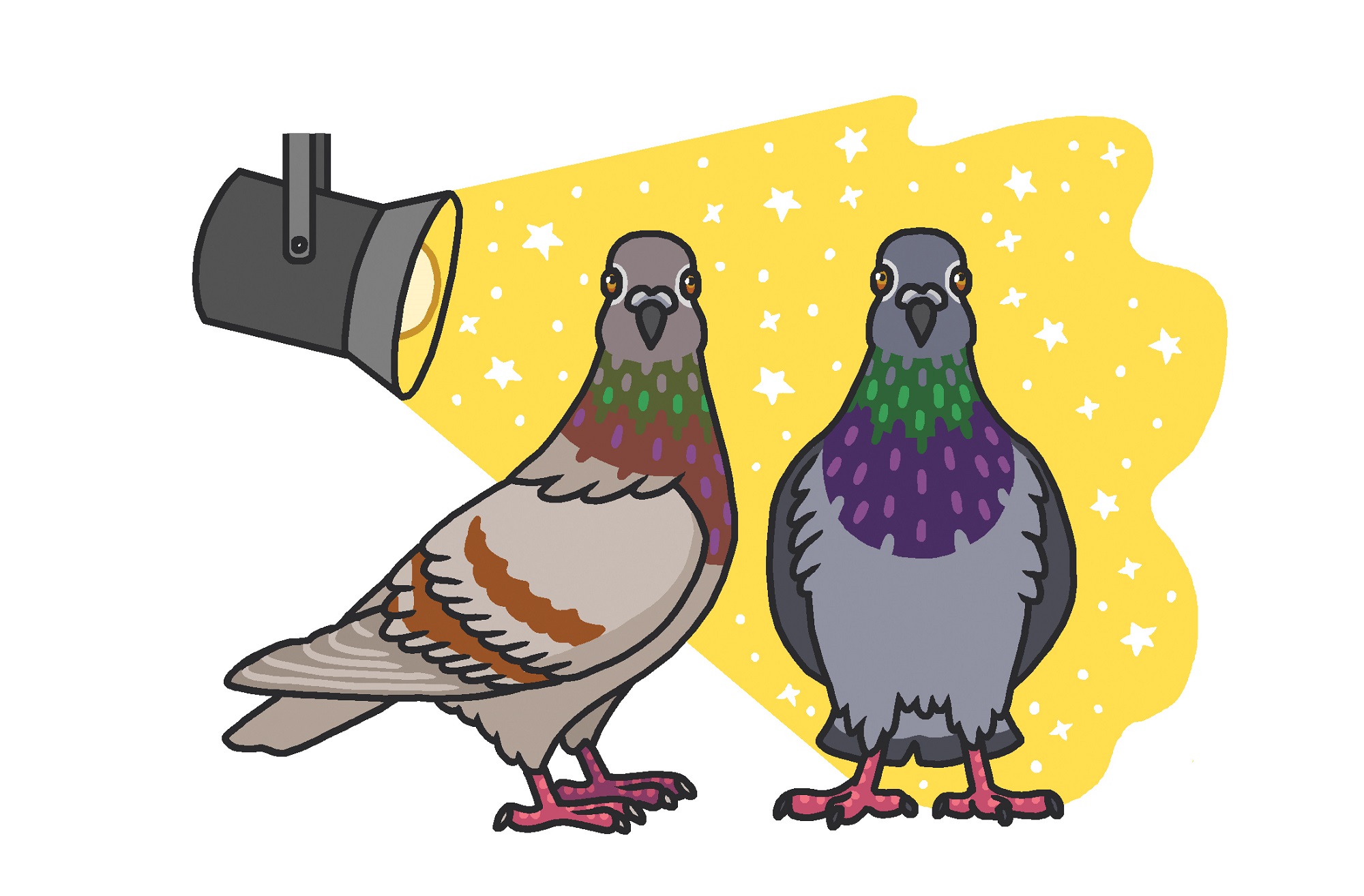 Two gray pigeons in a spotlight in a Rosemary Mosco cartoon
