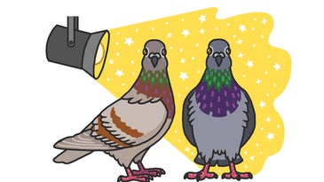 Two gray pigeons in a spotlight in a Rosemary Mosco cartoon