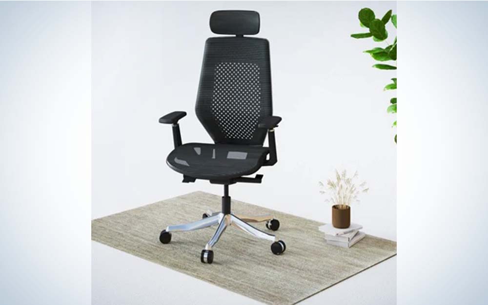 The Flexispot Exclusive Ergonomic Chair (C8) is facing forward on a small rug next to a plant.