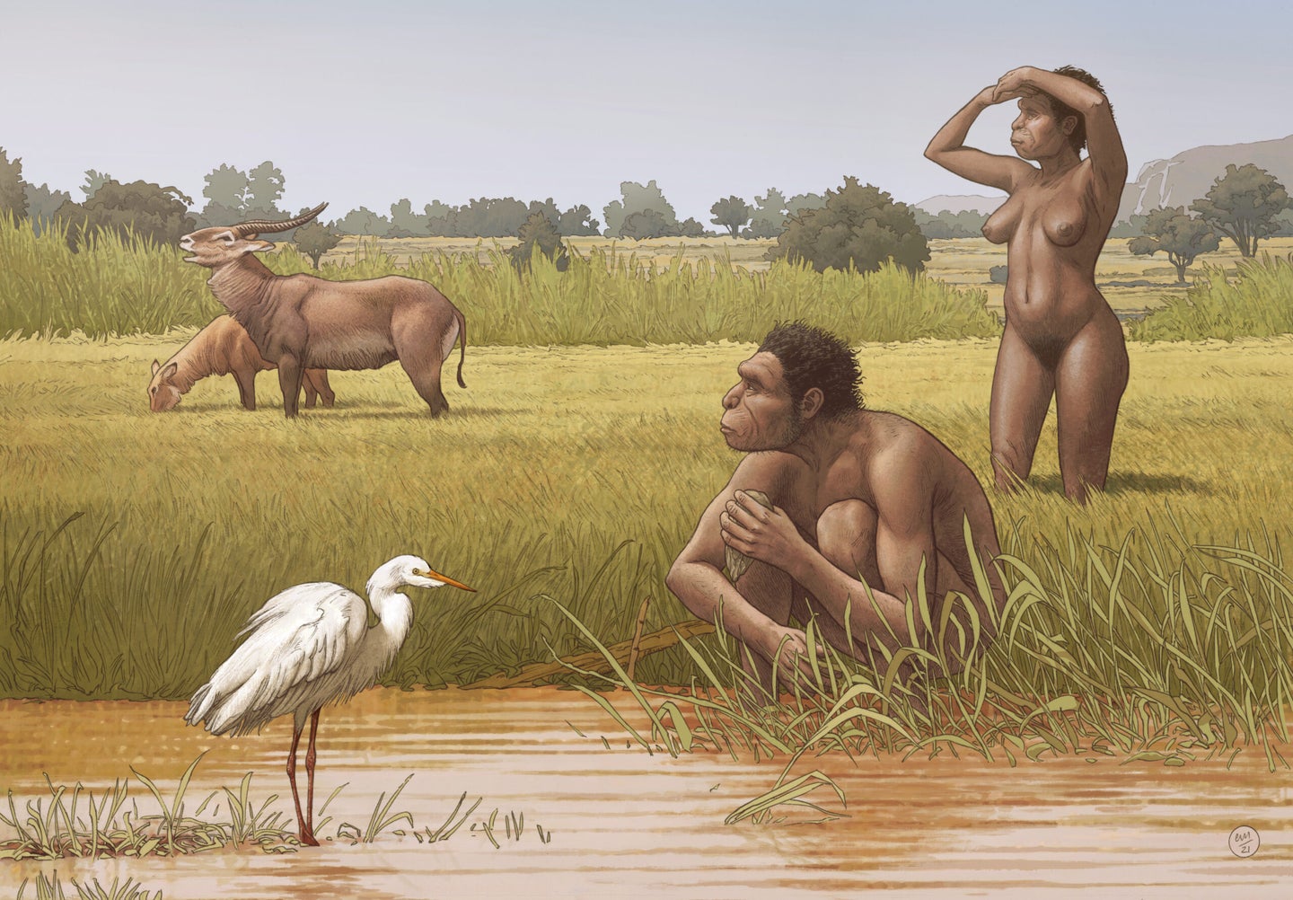 an illustration of two human ancestors in africa