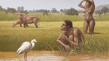 an illustration of two human ancestors in africa