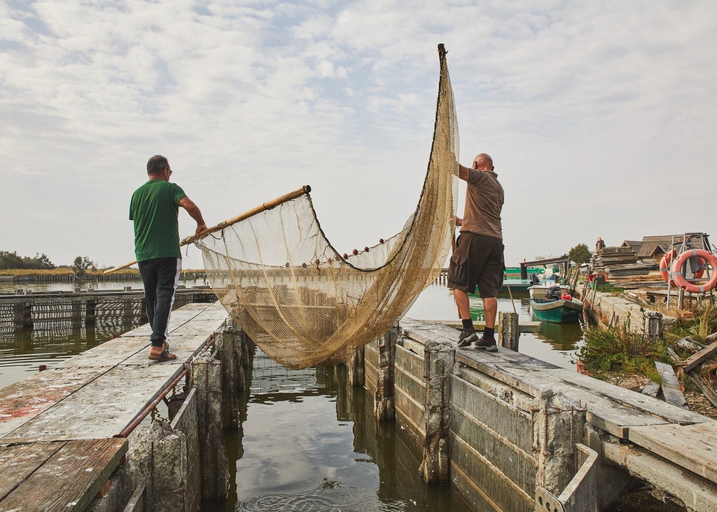 Fishers lowering an eel trawling net into a canal in Comacchio, Italy