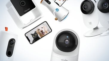 Best dog cameras of 2022
