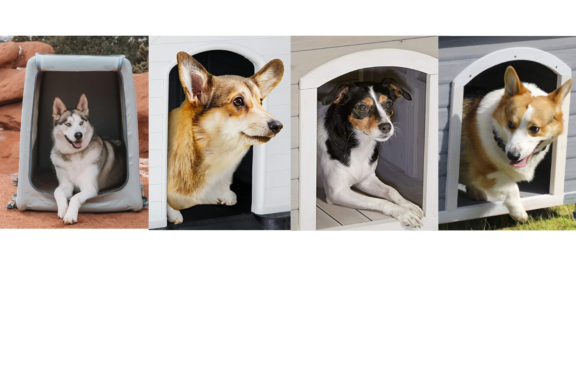 Keep your pooch warm and safe in one of the best dog houses.