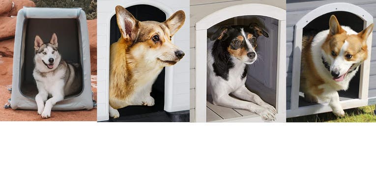 The best dog houses of 2024