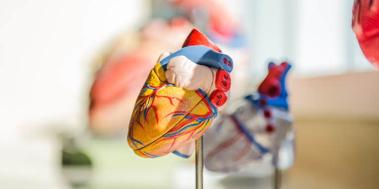 How dangerous is myocarditis? The truth about the scary-sounding condition.