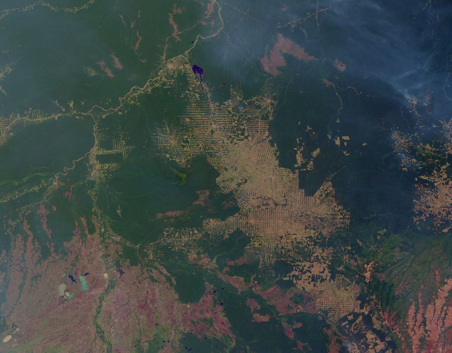 A satellite image of forest with patches of cleared land.
