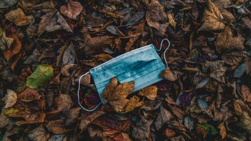 a disposable face mask in a pile of wet fall leaves