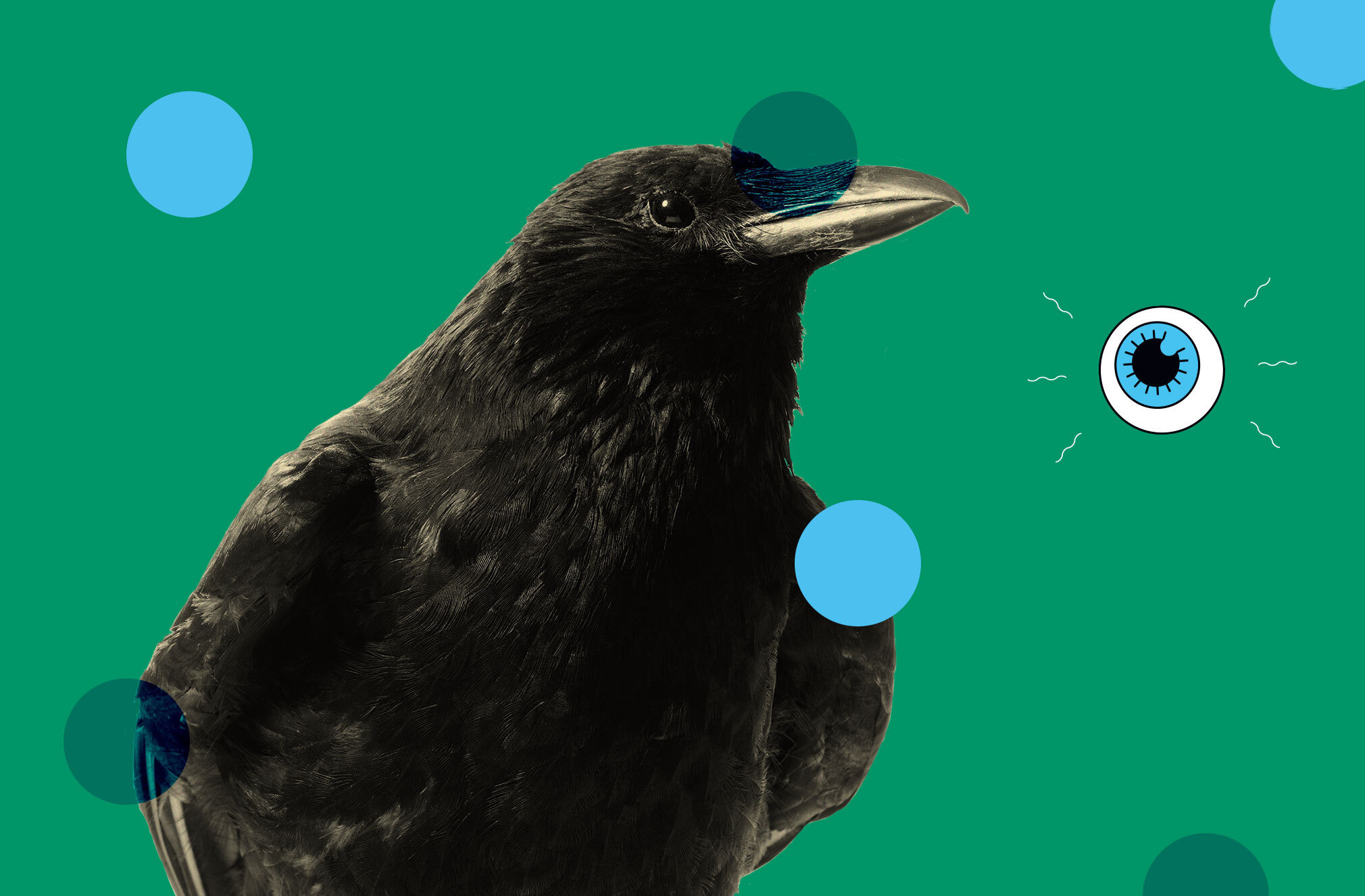 Even more proof that crows are terrifyingly smart