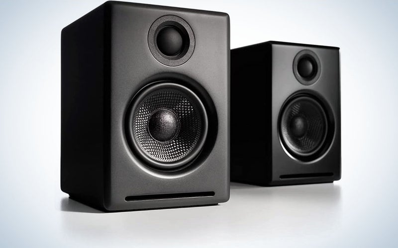 The Audioengine A2's are the best computer speakers for music