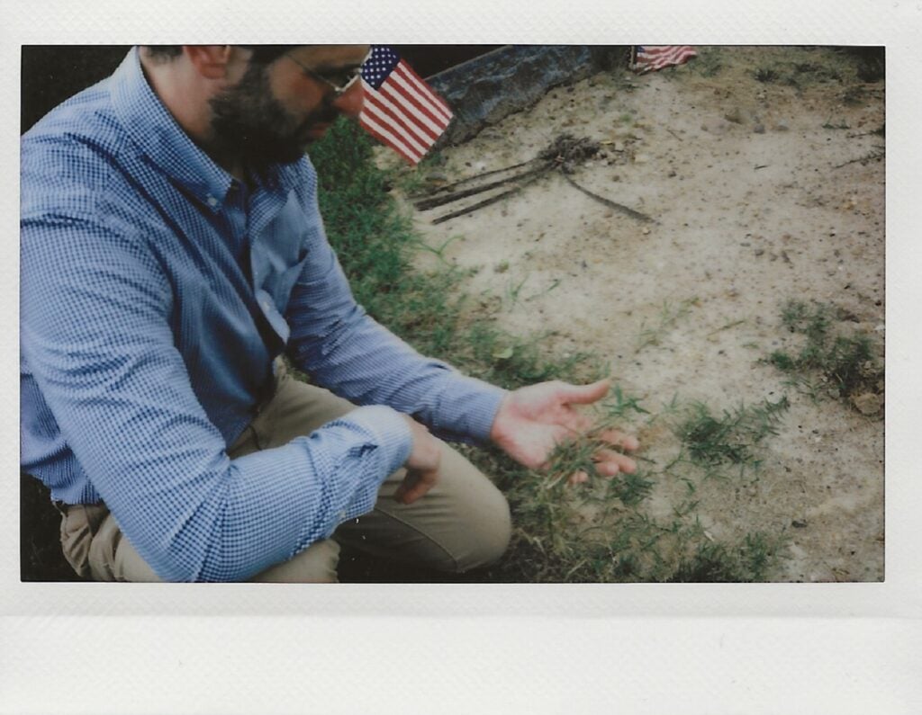 A horticulturist in glasses, a blue shirt, and khakis holding a long piece of Bermudagrass with its root on a sandy grave plot decorated with American flags