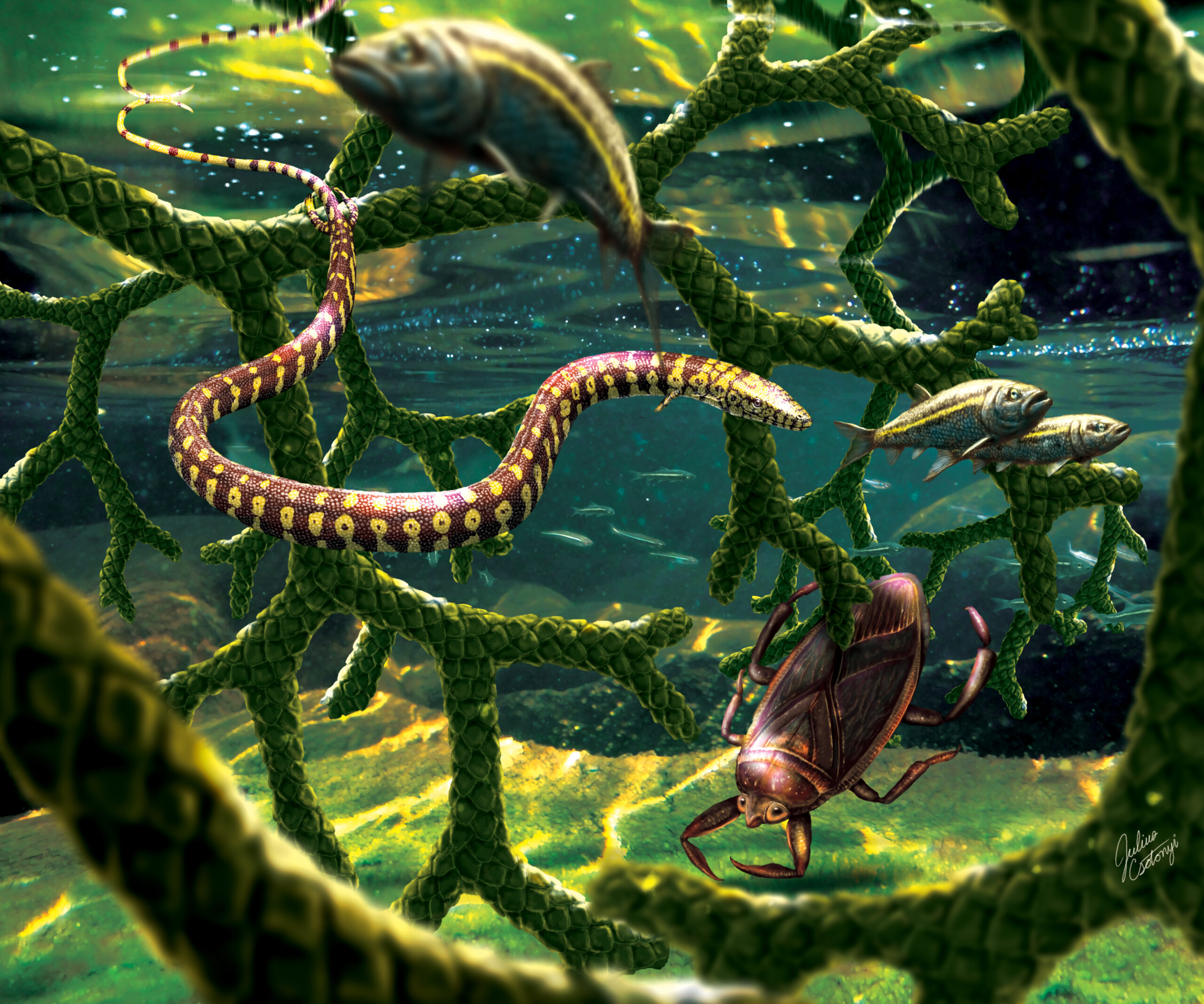 This four-legged snake fossil was probably a skinny lizard