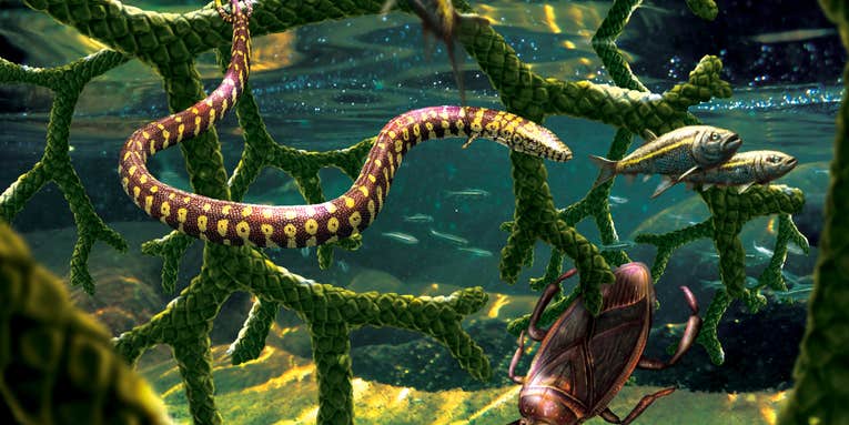 This four-legged snake fossil was probably a skinny lizard