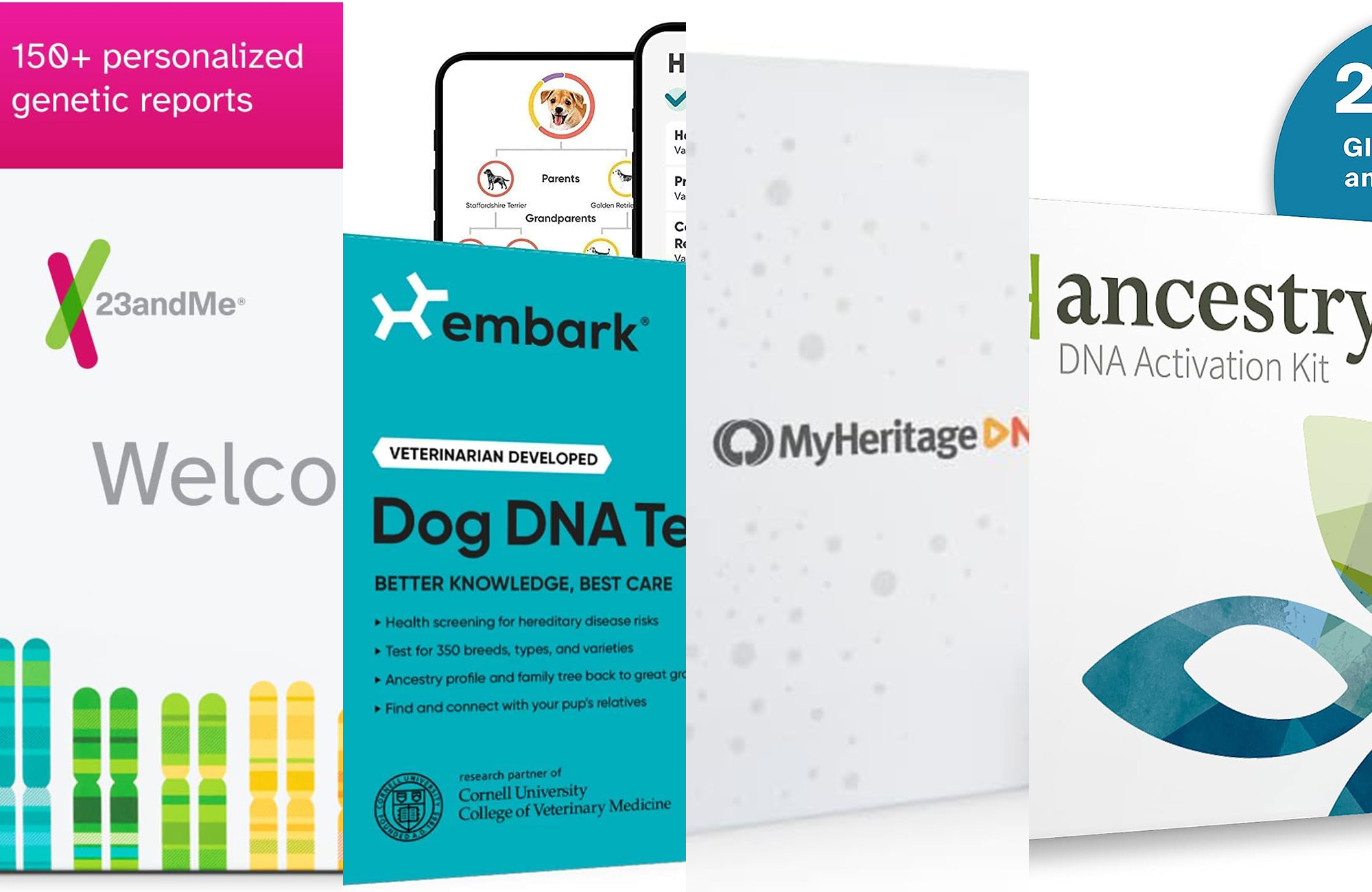 The best DNA test kits of 2024