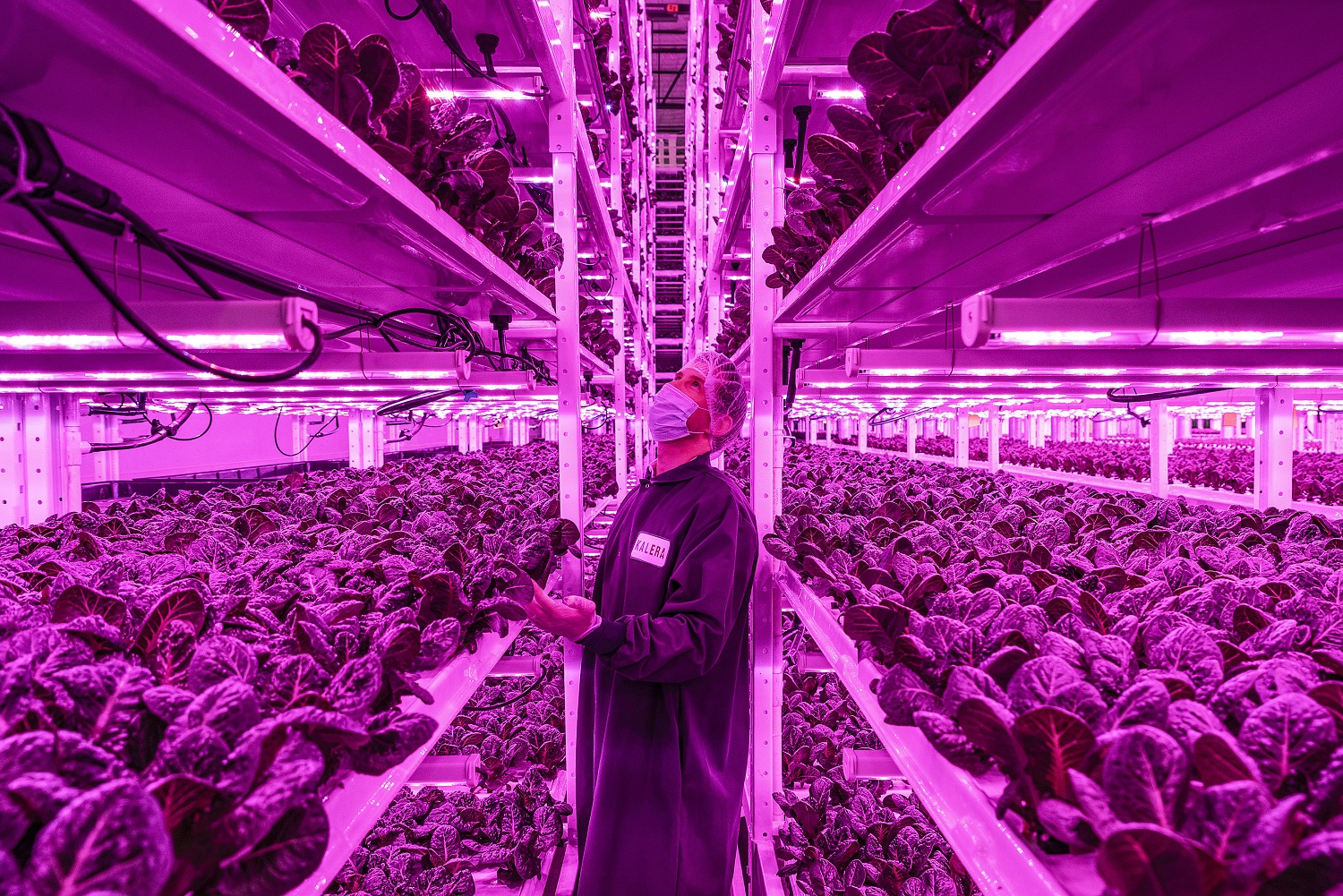 a-photo-tour-of-energy-efficient-vertical-farms