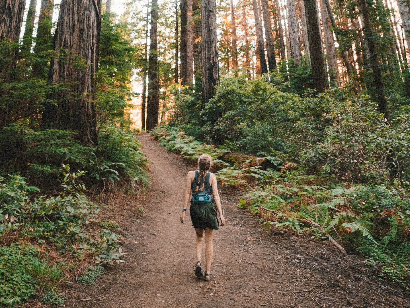 hiker in the middle of forest