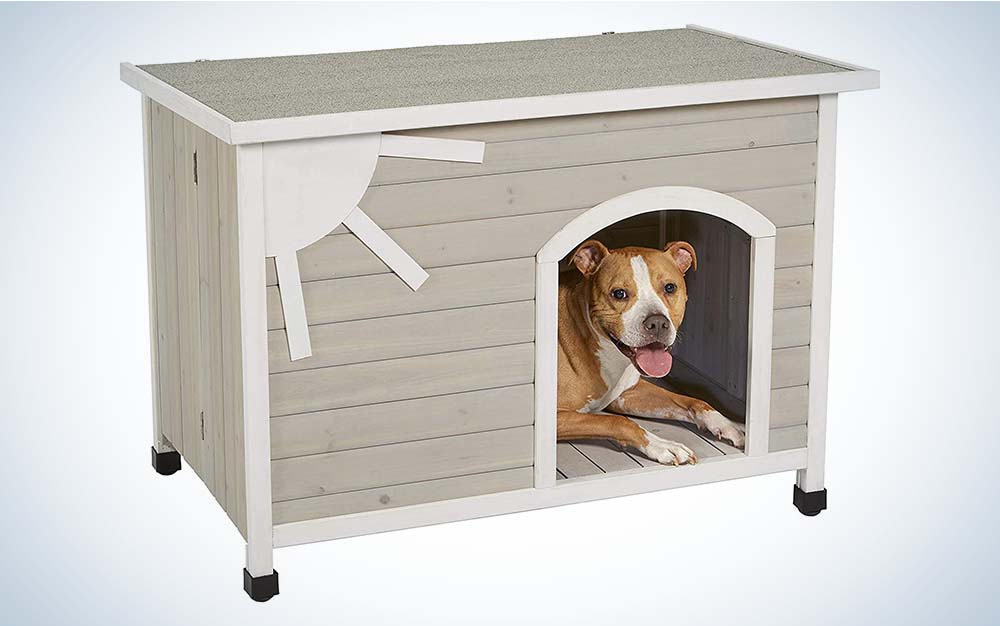 The Eillo Dog House is one of the best options available for dogs at an affordable price.