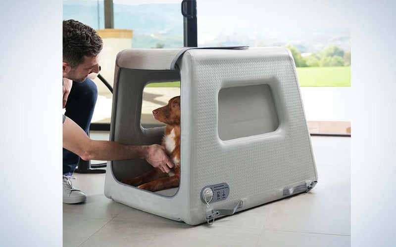 The Enventur is the best dog house for travel.