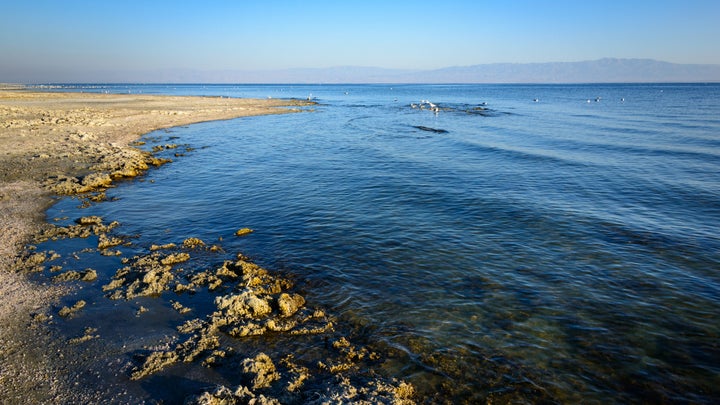 Coast of Salton Sea in California