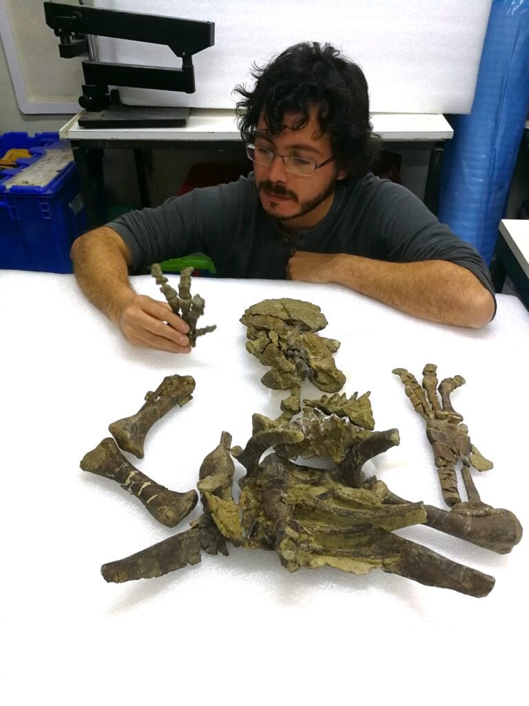 یک دایناسور تازه کشف شده در آمریکای جنوبی دمی شبیه یک ستاد نظامی داشت