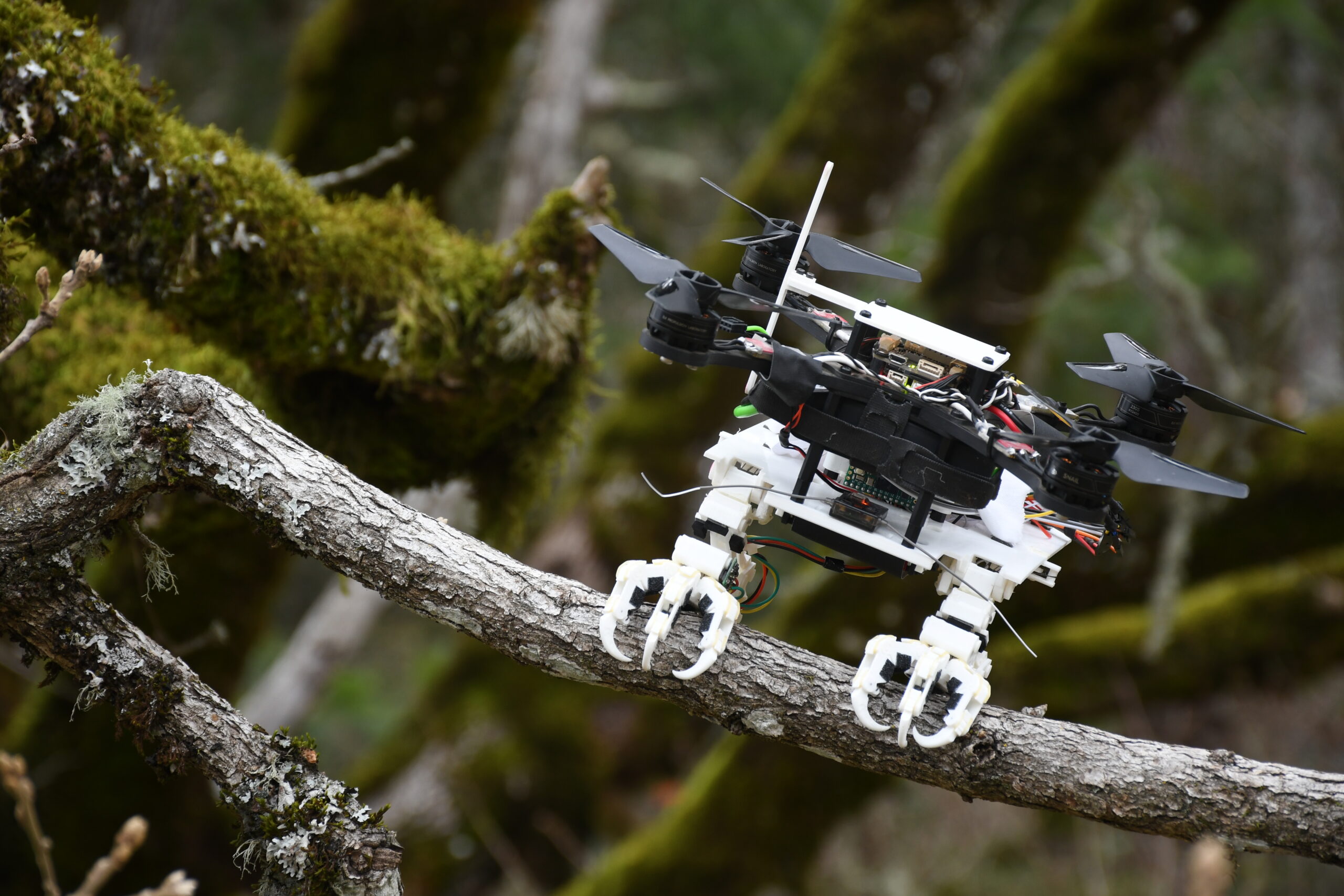 This bird-legged quadcopter can easily perch in the treetops