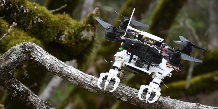 This bird-legged quadcopter can easily perch in the treetops