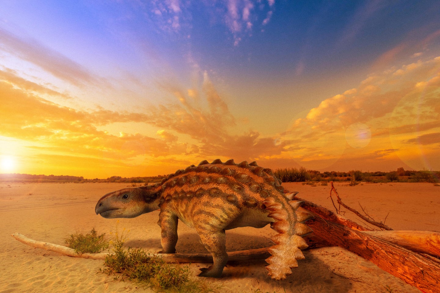 A paleoartist's rendition of the armored dinosaur Stegouros elengassen. 