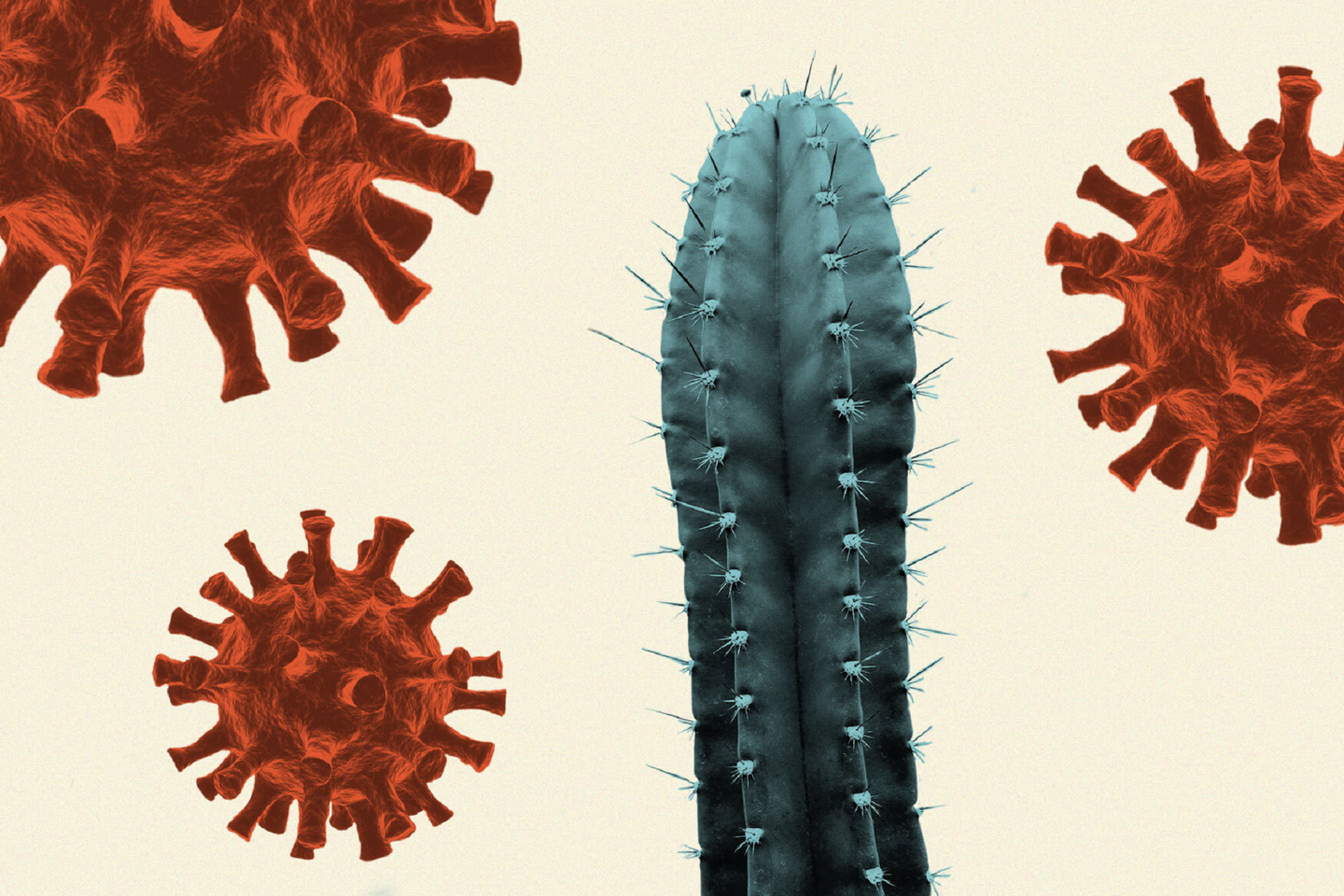 Spiky cactus and SARS-CoV-2 viral particles on a pale yellow background to represent COVID vaccines and infertility misinformation