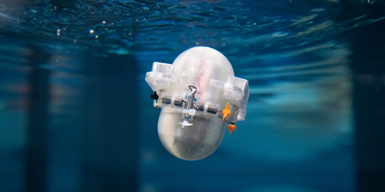 This tiny AI-powered robot is learning to explore the ocean on its own