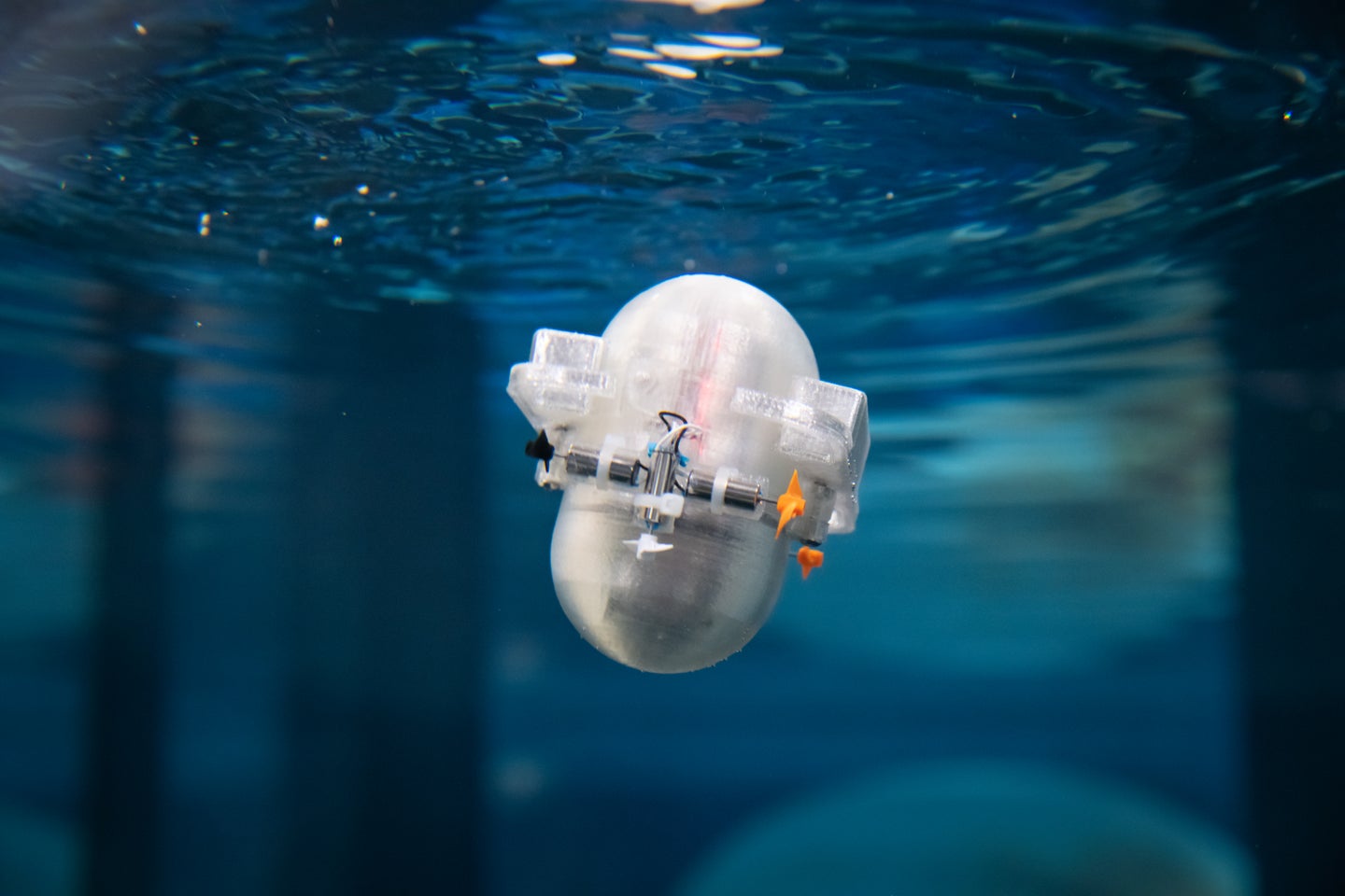 Caltech CARL octopus-like AI robot in water
