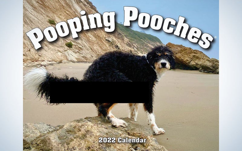 This calendar is the best white elephant gift idea.