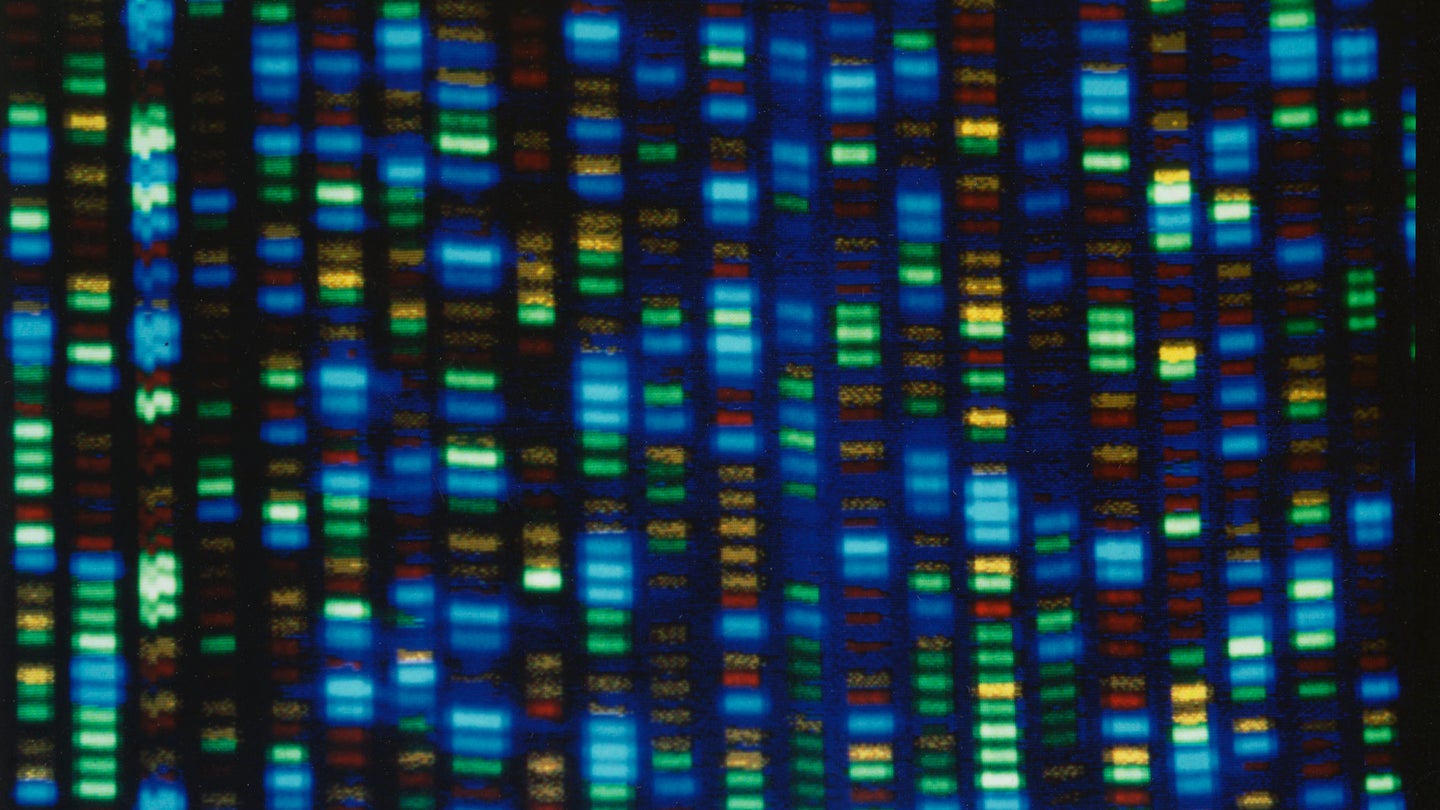 The benchmark for human diversity is based on one man’s genome. A new tool could change that.