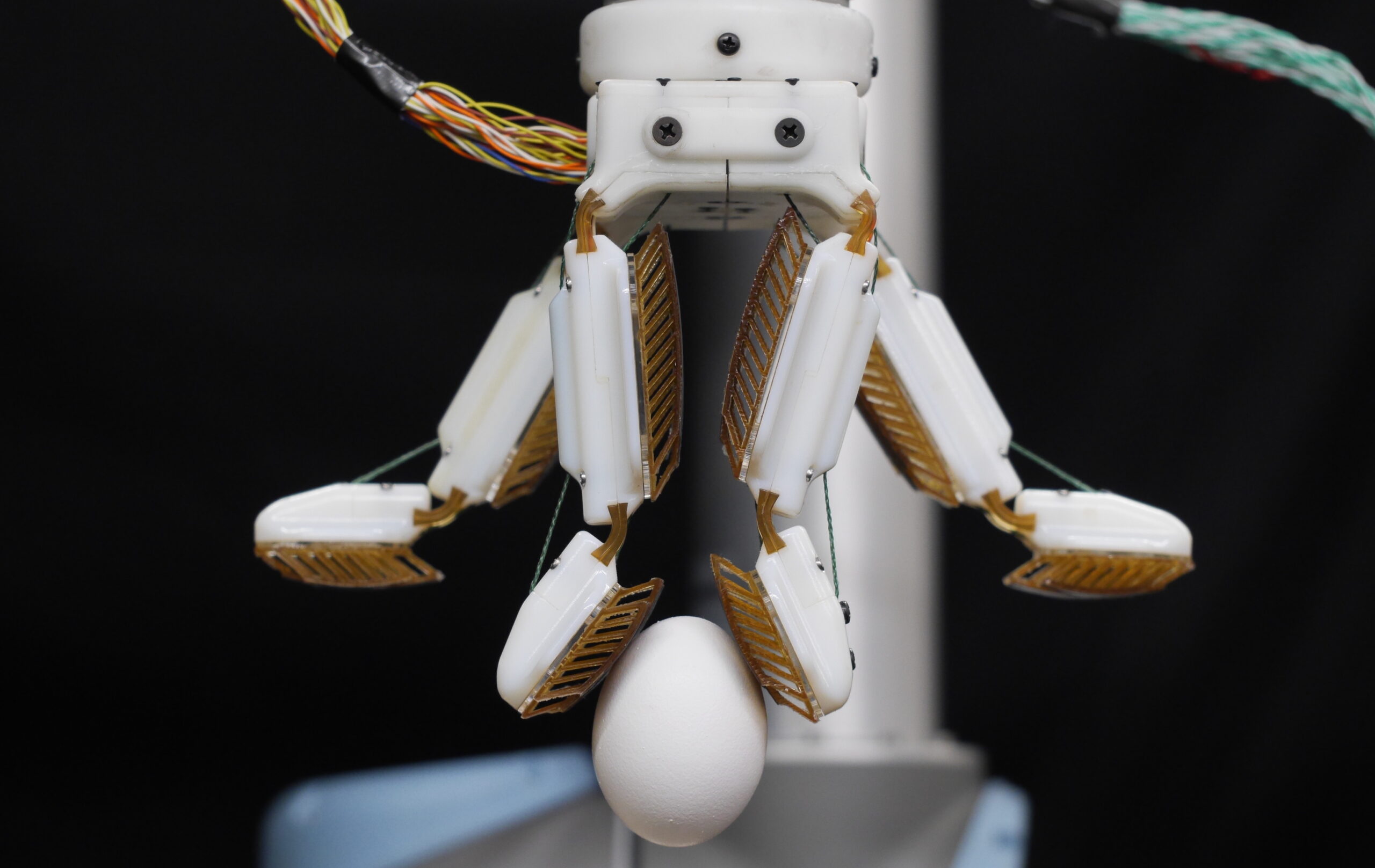 Engineers created a robotic hand with a gecko-like grip