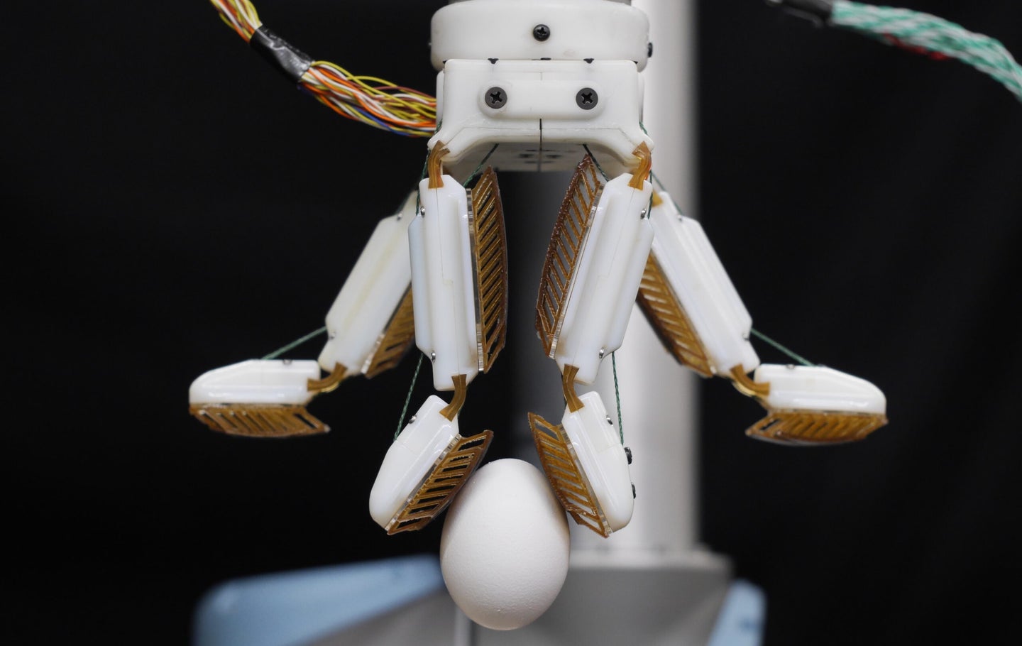 robot fingers grabbing egg