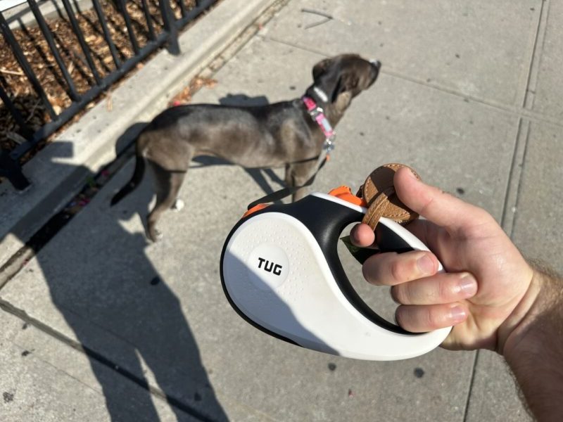 The best retractable dog leashes of 2024