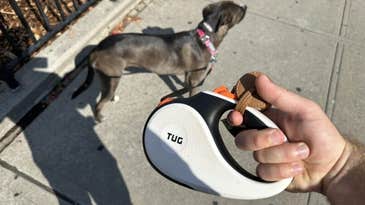 The best retractable dog leashes of 2024
