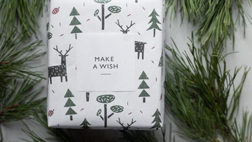 Holiday gift and tree branches to symbolize a sustainable climate change donation