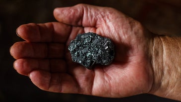 Hand holding a piece of coal.