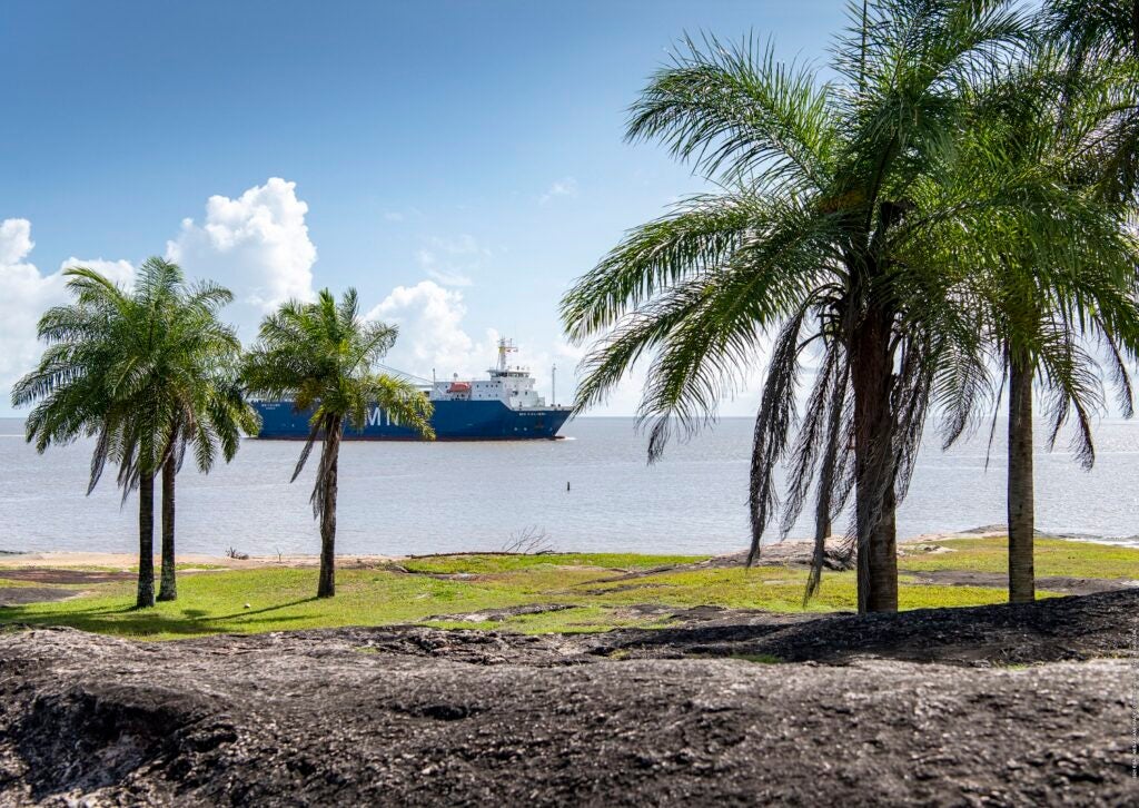 The cargo ship that transported the James Webb Space Telescope against palm trees in French Guiana