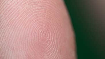 The genes behind your fingerprints just got weirder