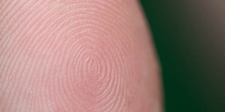 The genes behind your fingerprints just got weirder