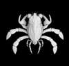 3D model of ancient crab in white set on black
