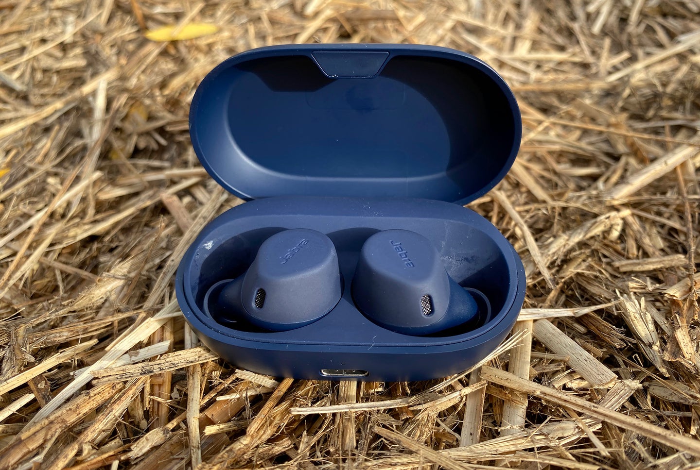 The Jabra Elite 7 Active earbuds in their case sitting on hay