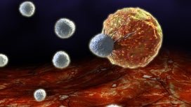 a graphic rendering of a orange-colored cancer cell being attacked by a gray immune cell