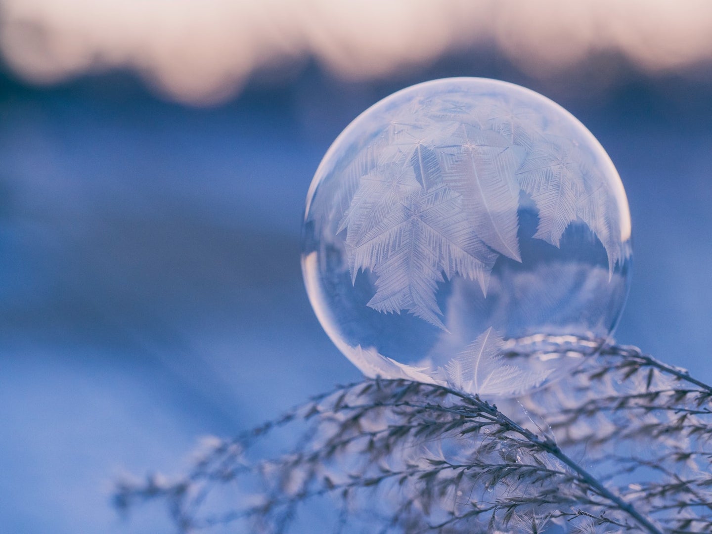 Frozen bubble on a snowy branch during winter solstice
